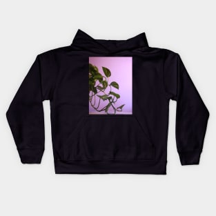 Money plant photography Kids Hoodie